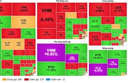 VN-Index duy trì trên 1.900 điểm, dòng tiền phân hóa mạnh