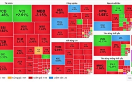 VN-Index giảm sâu, áp lực margin gia tăng trong bối cảnh thanh khoản cao