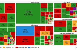 VN-Index giảm hơn 21 điểm, áp lực bán lan rộng cuối phiên