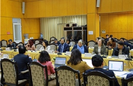 Đan Mạch hỗ trợ Việt Nam hoàn thiện Bộ chỉ tiêu thống kê về việc làm xanh