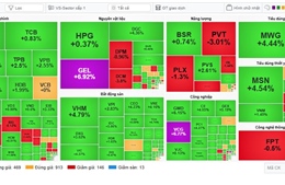 VN-Index tăng gần 33 điểm, chinh phục lại mốc 1.700 điểm