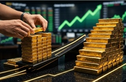 Giá vàng tăng lên 185 triệu đồng/lượng sau phiên mở cửa sáng 7/3