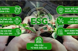 Việt Nam trước cơ hội hút vốn ESG toàn cầu