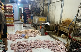 TP Hồ Chí Minh phát hiện 5 điểm giết mổ động vật trái phép tại khu vực chợ