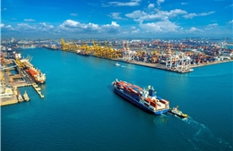 Xuất khẩu xuyên biên giới: Động lực mới của nền kinh tế số 