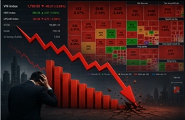 VN-Index mất gần 50 điểm, xuyên thủng mốc 1.800 điểm