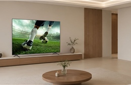 LG ra mắt TV QNED evo AI MiniLED mới tại Điện máy Xanh