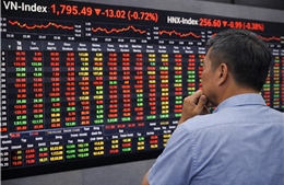 Thị trường ‘xanh vỏ đỏ lòng’, chuyên gia cảnh báo ‘bẫy hưng phấn’