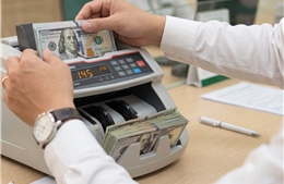 Ngân hàng Nhà nước chuyển hướng nới lỏng, VN-Index chờ dòng vốn 6 - 8 tỷ USD