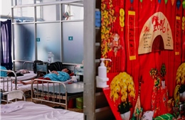 Những người không có Tết do sốt xuất huyết Dengue