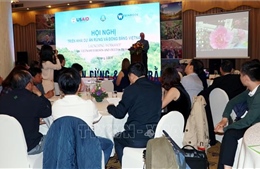 Triển khai dự án Rừng và Đồng bằng Việt Nam giai đoạn 3 