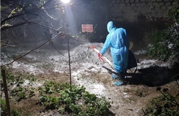 Các địa phương cấp bách ngăn chặn dịch tả lợn châu Phi