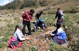 Hiệu quả thực hiện Chương trình mục tiêu quốc gia giảm nghèo bền vững tại Lai Châu