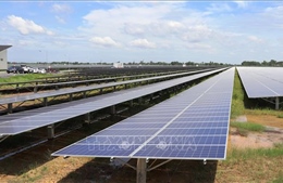 Nghị quyết 70-NQ/TW: Năng lượng sạch tạo động lực tăng trưởng mới cho Tây Ninh