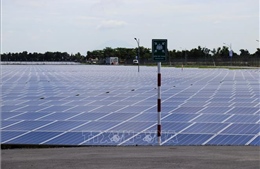 Nhiều nhà máy điện năng lượng mặt trời hòa lưới điện quốc gia