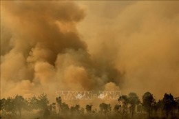Dùng máy bay chữa cháy rừng ở Israel 