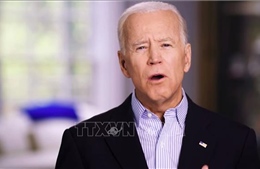 Ứng cử viên tổng thống Mỹ Joe Biden giữ vị trí dẫn đầu tại Nam Carolina