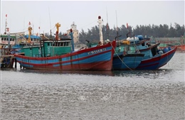 Phát triển kinh tế biển Trung Trung bộ - Bài 1: Thúc đẩy khai thác hải sản xa bờ