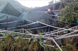 Mưa lớn gây thiệt hại tại huyện Na Hang, Tuyên Quang