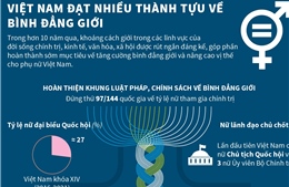 Việt Nam đạt nhiều thành tựu về bình đẳng giới