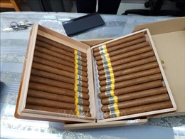 Truy tố đối tượng buôn bán xì gà nhập lậu