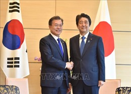 Thủ tướng Shizo Abe: Cuộc gặp thượng đỉnh Nhật-Hàn đang được thu xếp ở Trung Quốc