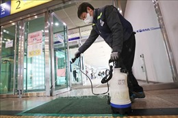 Dịch viêm phổi do virus corona: Hàn Quốc nâng mức cảnh báo lên mức nguy hiểm 