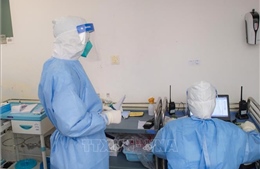 Australia tái tạo thành công virus corona trong phòng thí nghiệm