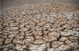 Xây dựng thêm 421 cơ sở trữ nước đối phó hạn hán kéo dài