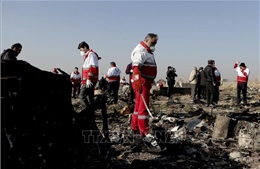 Công bố điều tra sơ bộ vụ máy bay chở khách của Ukraine rơi tại Iran
