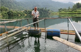 Nỗ lực giảm nghèo bền vững - Thực tiễn từ tỉnh Nghệ An