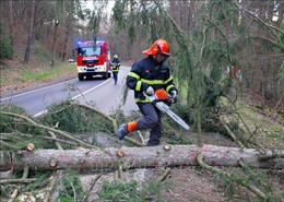 Siêu bão Ciara cướp đi sinh mạng của 7 người tại châu Âu