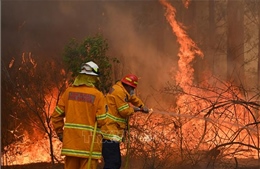 Australia cùng lúc đối mặt với cháy rừng, lũ lụt và bão  