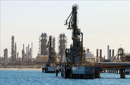 Giá dầu châu Á tăng hơn 8% 