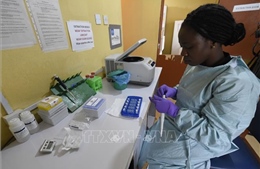 Nigeria: 171 người tử vong vì bệnh xuất huyết cấp tính do virus