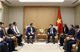 Phó Thủ tướng Trịnh Đình Dũng: Việt Nam khuyến khích doanh nghiệp lớn, có tiềm lực tài chính