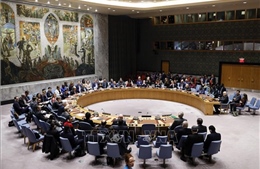 Hội đồng Bảo an thảo luận trực tuyến về vấn đề vũ khí hoá học tại Syria