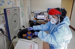 Iran ghi nhận ngày thứ 6 liên tiếp giảm số bệnh nhân nhiễm mới virus SARS-CoV-2