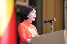 Giới học giả: ASEAN đã đối phó dịch COVID-19 khá tốt với vai trò Chủ tịch của Việt Nam