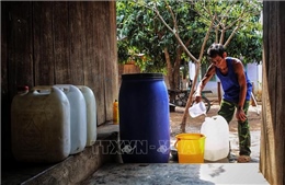 Ninh Thuận oằn mình chống khô hạn 