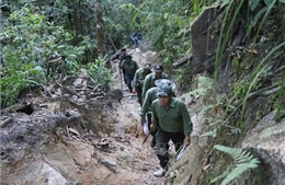 Nhiều áp lực trong quản lý, bảo vệ rừng ở Đắk Lắk