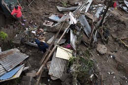 Bão Amanda hoành hành, ít nhất 14 người thiệt mạng tại El Salvador, Guatemala