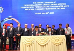 Việt Nam - Hàn Quốc tiếp tục hợp tác thực chất, hiệu quả