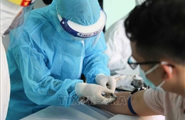 Hỗ trợ Việt Nam tăng cường năng lực phát hiện và ứng phó với dịch COVID-19