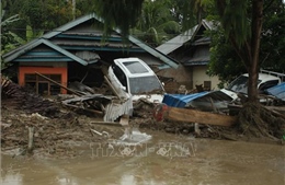 Lũ lụt tại Ấn Độ và Indonesia gây thiệt hại nghiêm trọng