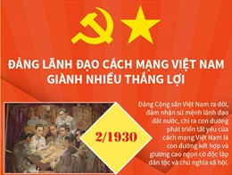 Đảng lãnh đạo Cách mạng Việt Nam giành nhiều thắng lợi