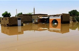 Sudan: Hơn 50.000 người bị ảnh hưởng bởi lũ lụt
