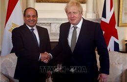 Lãnh đạo Ai Cập, Anh điện đàm về một loạt vấn đề khu vực