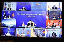 Phát huy vai trò trung tâm của ASEAN trong phòng, chống, kiểm soát dịch bệnh