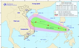 Các tỉnh từ Thanh Hóa đến Bình Thuận chủ động ứng phó với diễn biến áp thấp nhiệt đới 